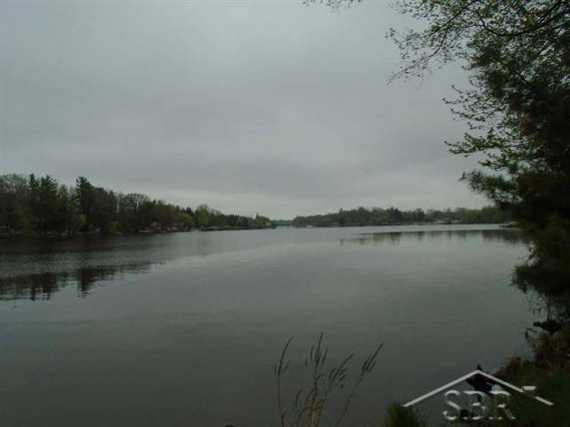Billings Twp, MI 48612,VL Oakridge Drive