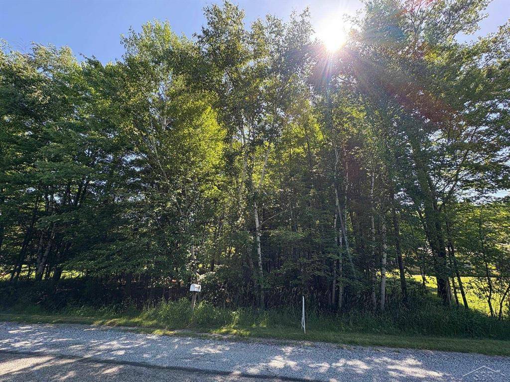 N Gleaner Rd, Thomas Twp, MI 48609