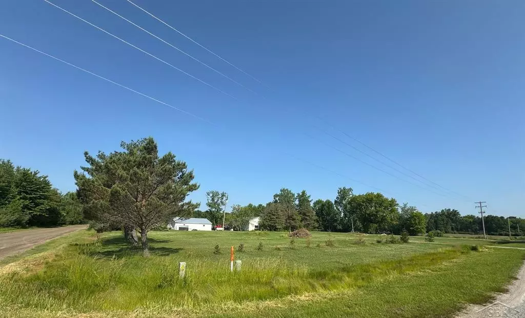 Chapin Twp, MI 48831,14382 S Chapin Road