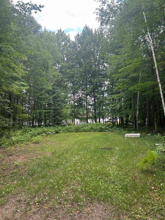 Lots 64 & 65 Todd Drive, Mills Twp, MI 48756