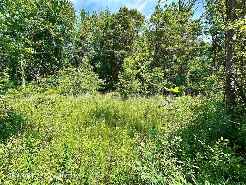 Tobacco Twp, MI 48612,VL Dale Road