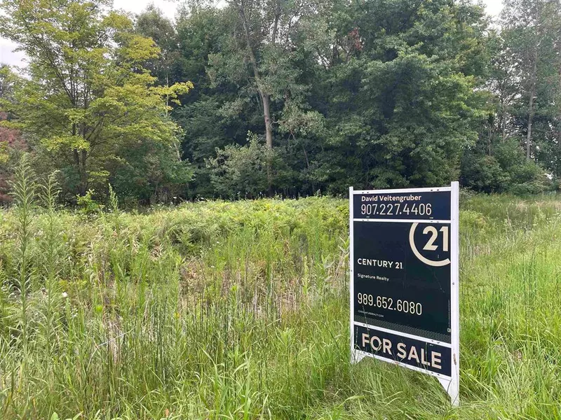 0 Moorish Road, Taymouth Twp, MI 48415