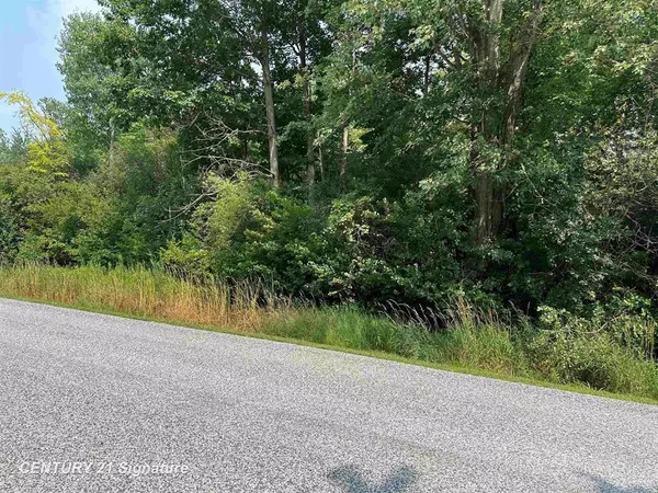 Bridgeport Twp, MI 48415,0 Townline Road