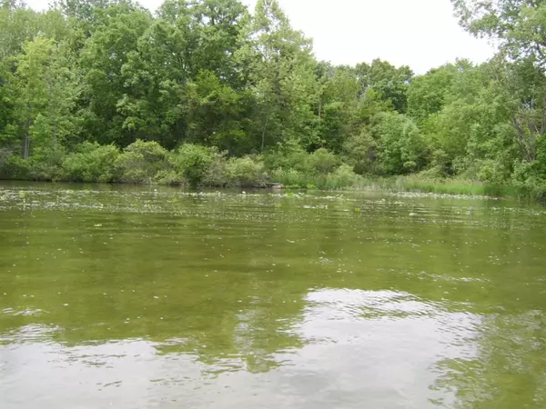 Ovid Twp, MI 49036,0 Pearl Beach Road S