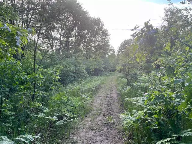 VL Cassidy Road, Assyria Twp, MI 49021