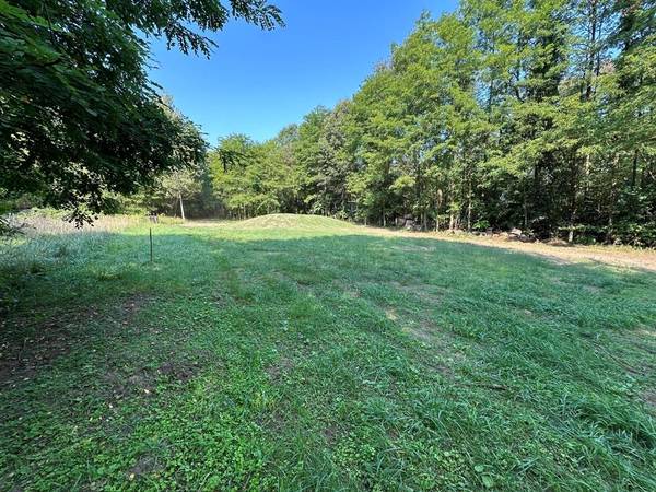 000 N 5 Mile Road, Bedford Twp, MI 49017