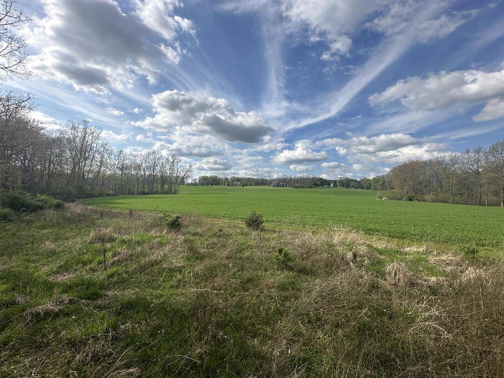 Liberty Twp-jackson, MI 49246,Maple Dale Road