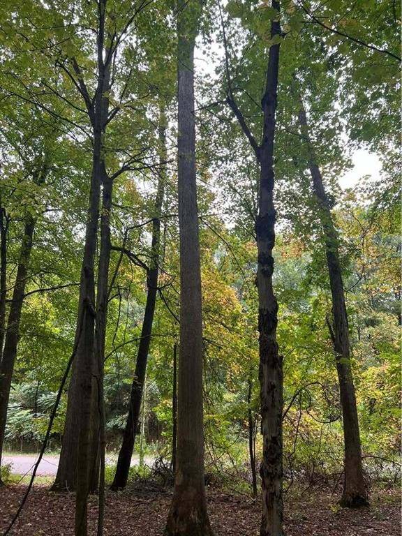 Emmett Twp, MI 49014,402 Flowerwood Drive