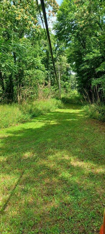 Collier Avenue, Bedford Twp, MI 49017