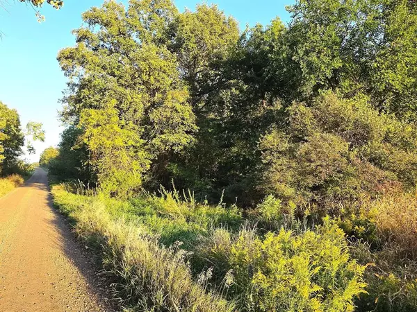 Wildt Highway Modifier: (43), Kalamo Twp, MI 49021