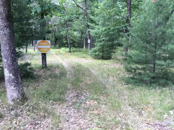 Pleasant Plains Twp, MI 49304,Lot 1 Astor Street