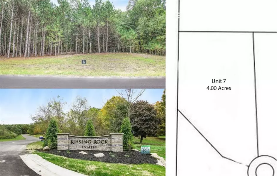 10733 Kissing Ridge Drive 7, Lowell Twp, MI 49331