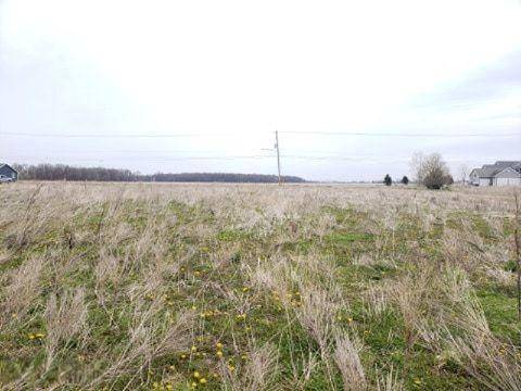 0 N state Street, Pewamo Vlg-lyons Twp, MI 48873