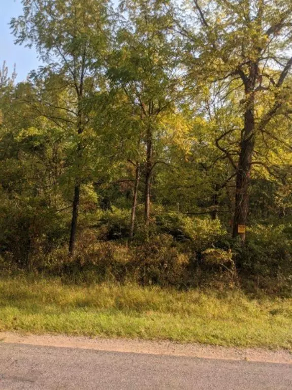 Waverly Twp, MI 49079,0 fisk Lake Road