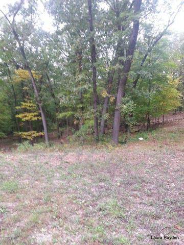Boston Twp, MI 49331,Vising Drive LOT 6