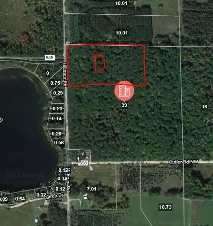 Parcel D Hillman Road, Belvidere Twp, MI 48850