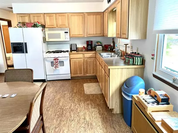 Denton Twp, MI 48651,113 7th Street