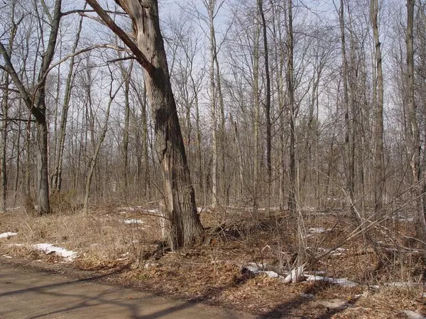 1146 quimby Road, Hastings Twp, MI 49058