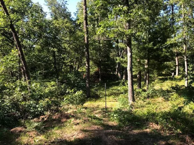 V/L Putnam, Dalton Twp, MI 49457