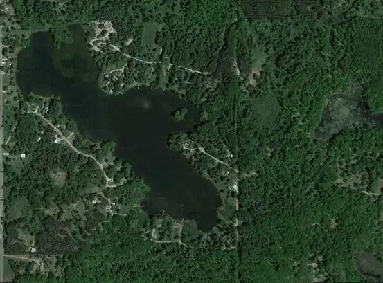 8099 Otter Drive, Evart Twp, MI 49631