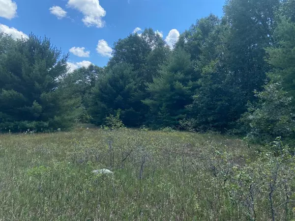V/L E Apple Avenue, Egelston Twp, MI 49442