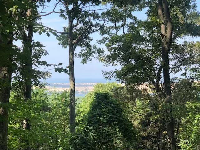 Golden Twp, MI 49436,Silver Vista Lot 3