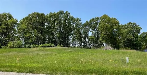 Fabius Twp, MI 49093,Lot 10 Leo Lane