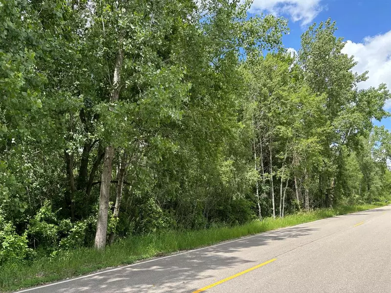 V/L S Peach Avenue Modifier: Parcel 39, Grant Twp, MI 49327