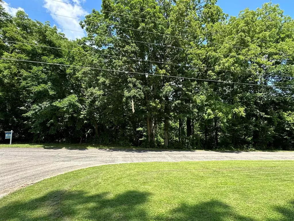 Constantine Vlg, MI 49042,Lot 1 Riverside Drive