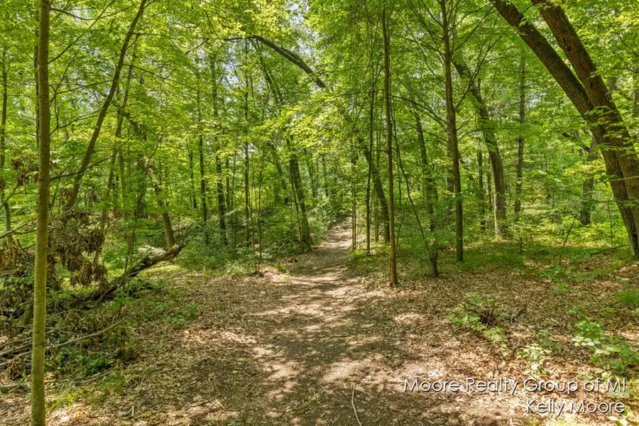V/L 10472 SW Greenville Road, Eureka Twp, MI 48838