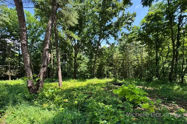 Irving Twp, MI 49058,VL W Irving Road