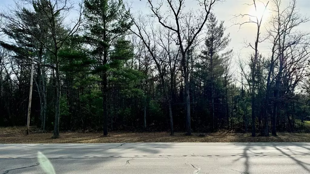 V/L US-10, Pleasant Plains Twp, MI 49304