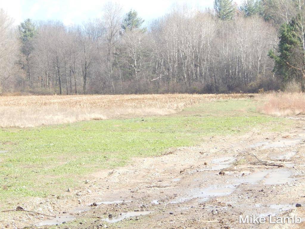 9340-4 Sparta Avenue NW, Sparta Twp, MI 49345