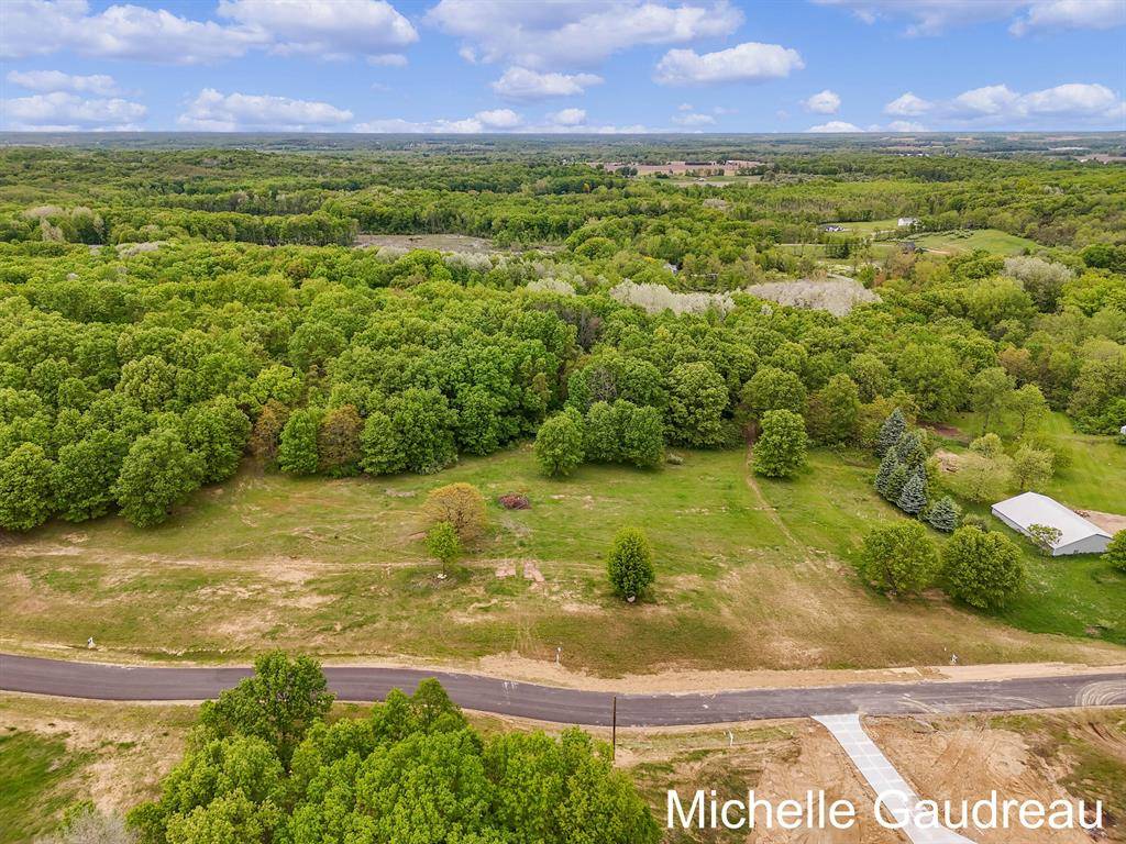 Parcel 9 Leaf Lane, Irving Twp, MI 49325