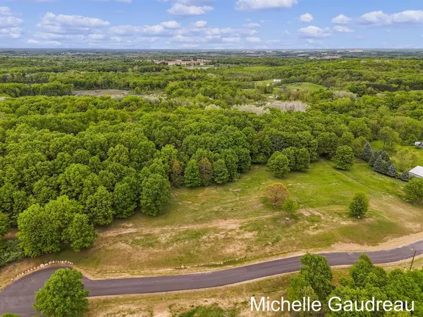 Irving Twp, MI 49325,Parcel 9 Leaf Lane