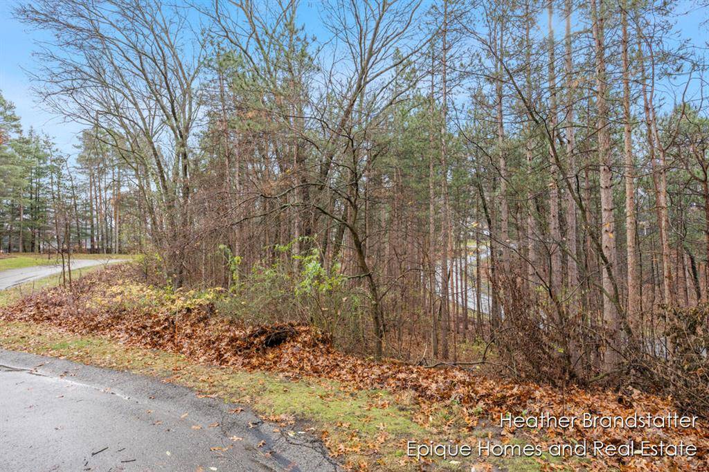 Cannon Twp, MI 49306,7165 Hawick Court NE