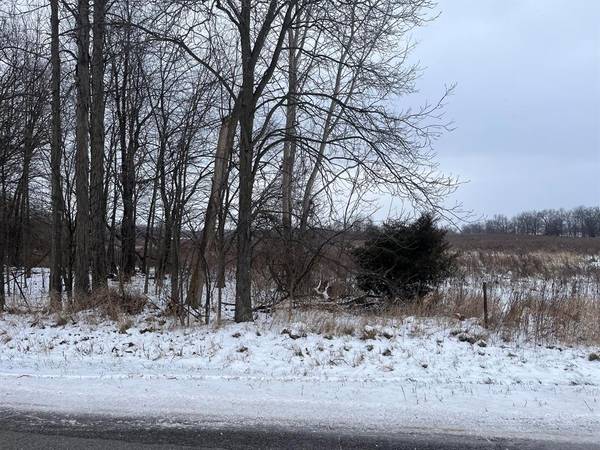 11602 64th Street SE Modifier: PARCEL A, Bowne Twp, MI 49302