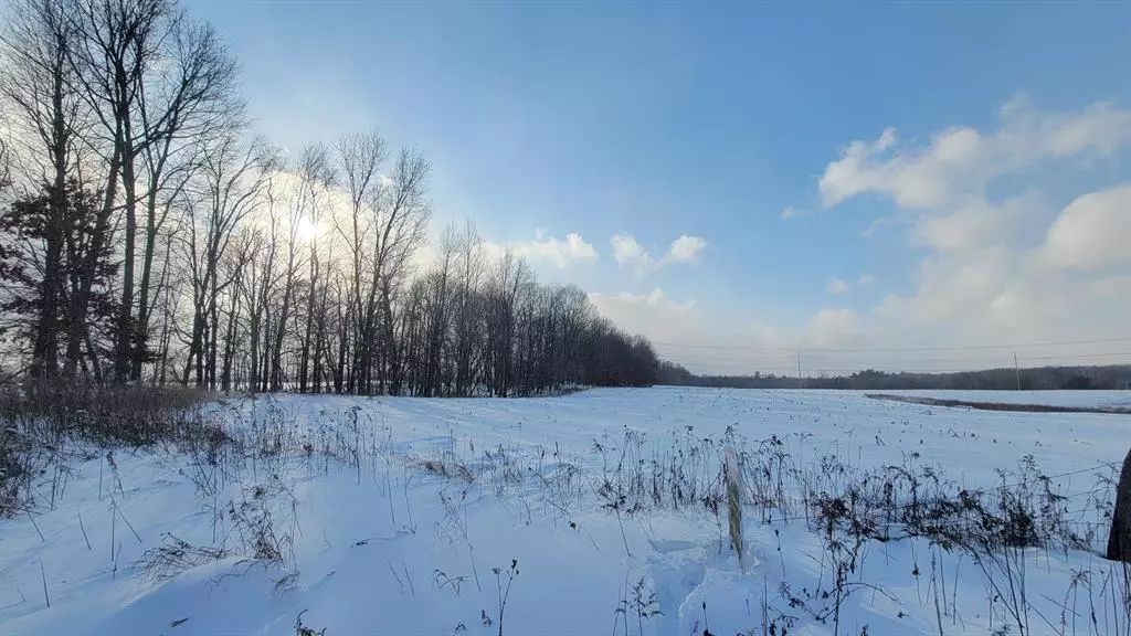 Parcel A-3 Tiffany Avenue NE, Cannon Twp, MI 49341