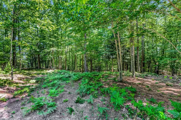Lot 1 Emerald Ridge, Onekama Twp, MI 49675
