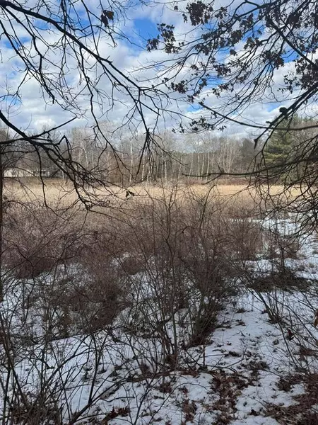 VL Colby Road, Montcalm Twp, MI 49326