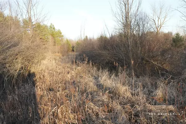 Allegan Twp, MI 49010,V/L Fawn Path, Parcel A