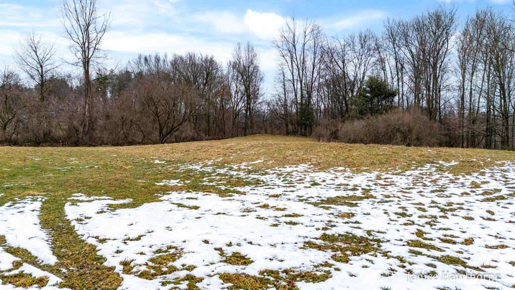 5625 Lacey Road 2, Assyria Twp, MI 49050