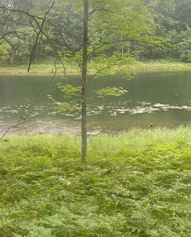 V/L Alpine Drive Lot 318, Cedar Twp, MI 49677