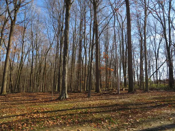 Caledonia Twp, MI 49316,8726 Rainbows End Court SE Parcel #6