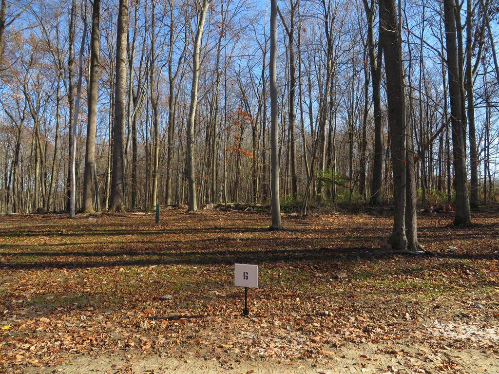 Caledonia Twp, MI 49316,8726 Rainbows End Court SE Parcel #6