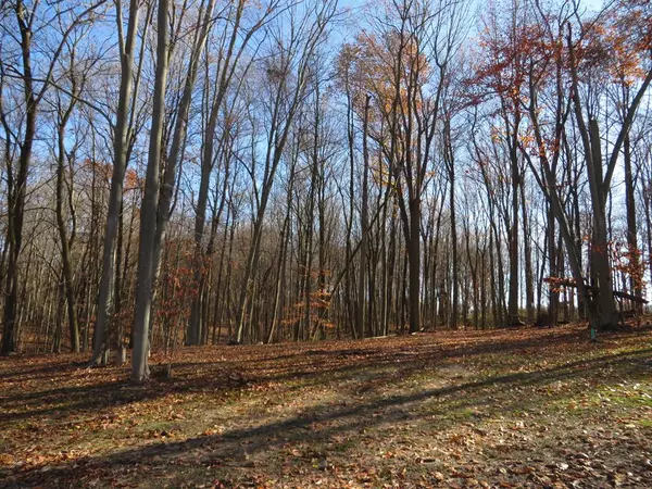 Caledonia Twp, MI 49316,8714 Rainbows End Court SE Parcel #7