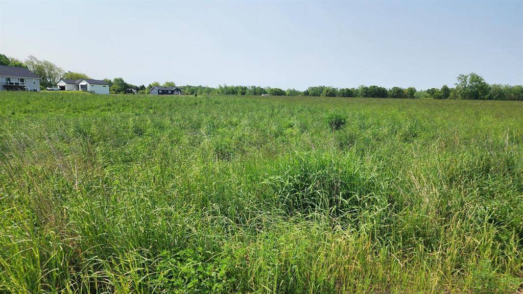 Courtland Twp, MI 49341,9819 Young Avenue NE
