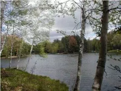 VL Lot 811 Miramichi Drive, Evart Twp, MI 49631