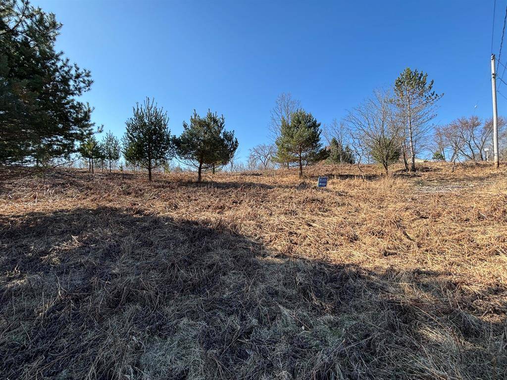 VL Lot 122 Chippewa Trail,  Evart Twp,  MI 49631