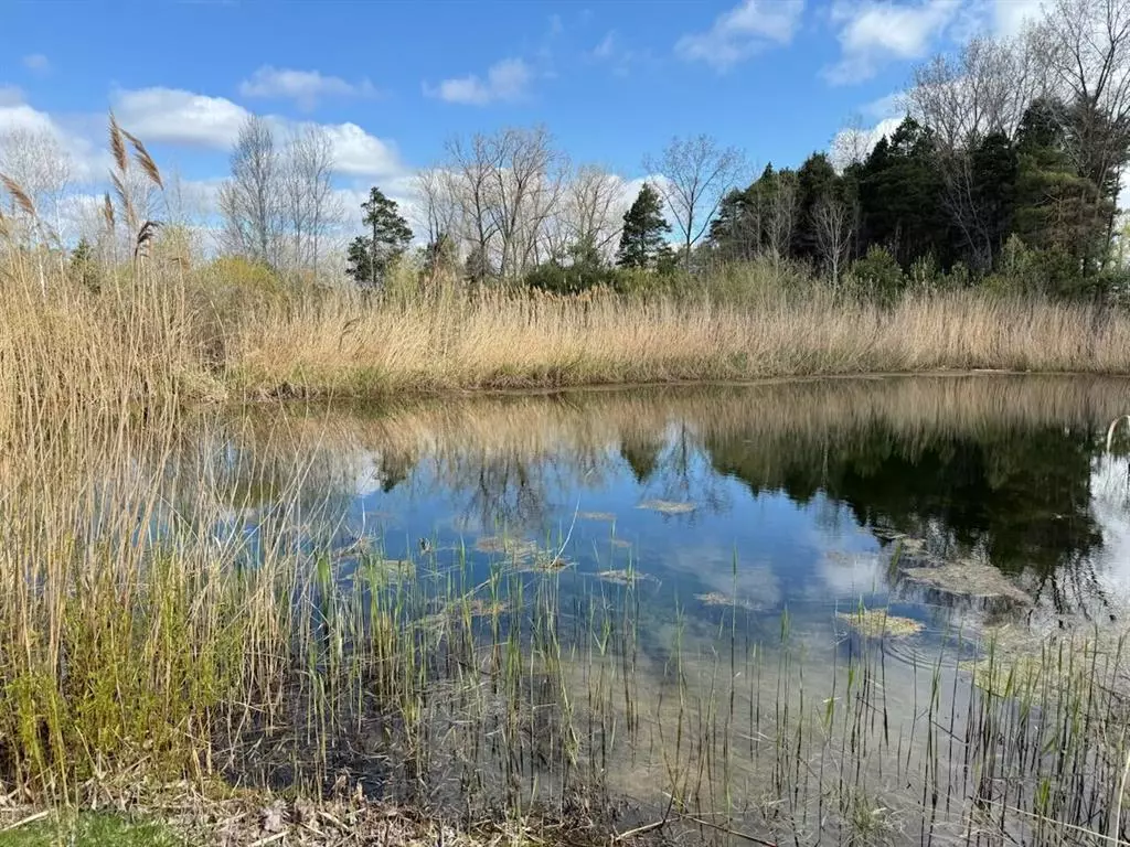 Casnovia Twp, MI 49318,14605 Apple Avenue
